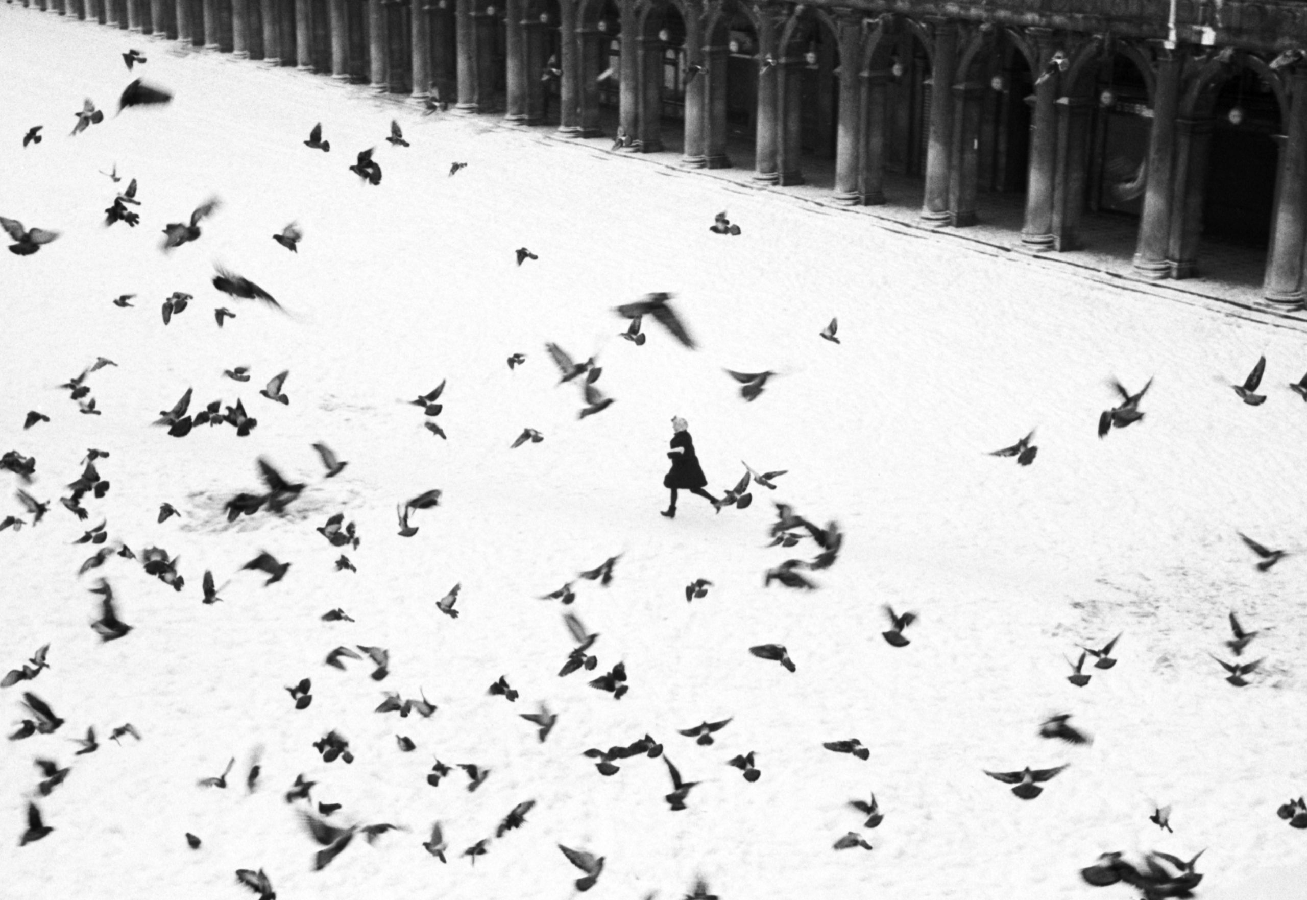 venezia, 1960